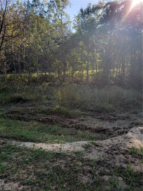 595 John Mickles Road Pinnacle, NC 27043 - Photo 16 of 20