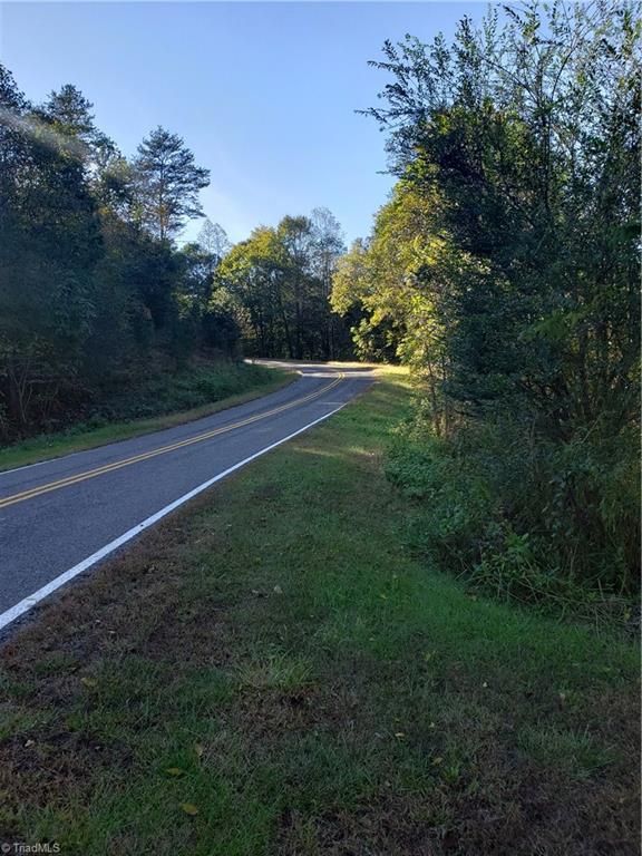 595 John Mickles Road Pinnacle, NC 27043 - Photo 17 of 20