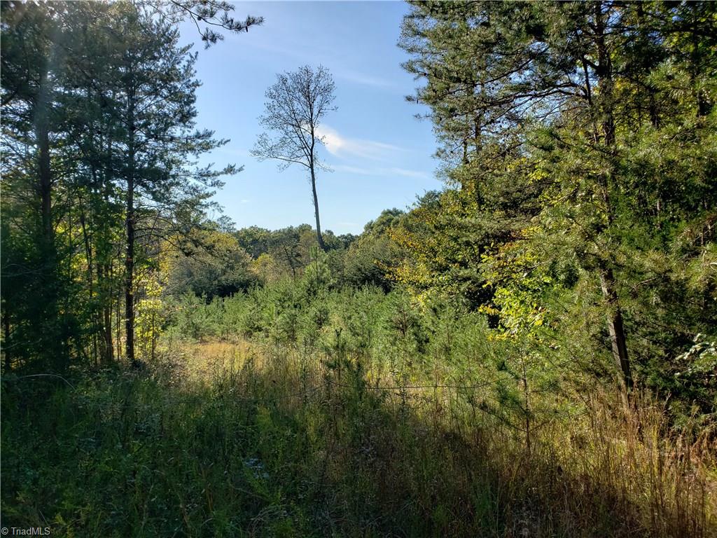 595 John Mickles Road Pinnacle, NC 27043 - Photo 4 of 20 Second building site has overgrown some.