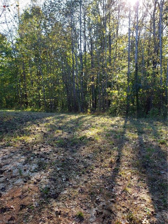 595 John Mickles Road Pinnacle, NC 27043 - Photo 5 of 20