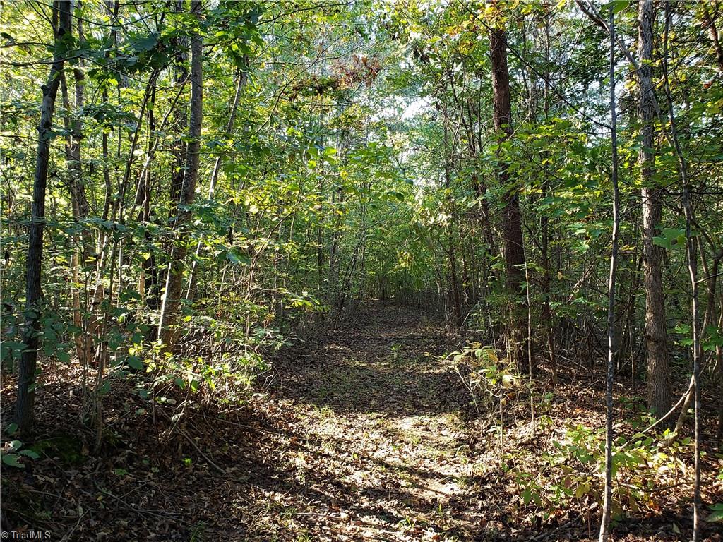595 John Mickles Road Pinnacle, NC 27043 - Photo 6 of 20 Trail head near singlewide