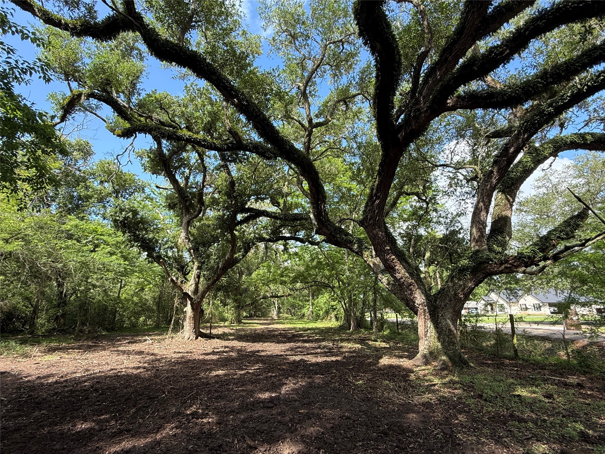 6833 Bryan Road Freeport, TX 77541 - Photo 4 of 7