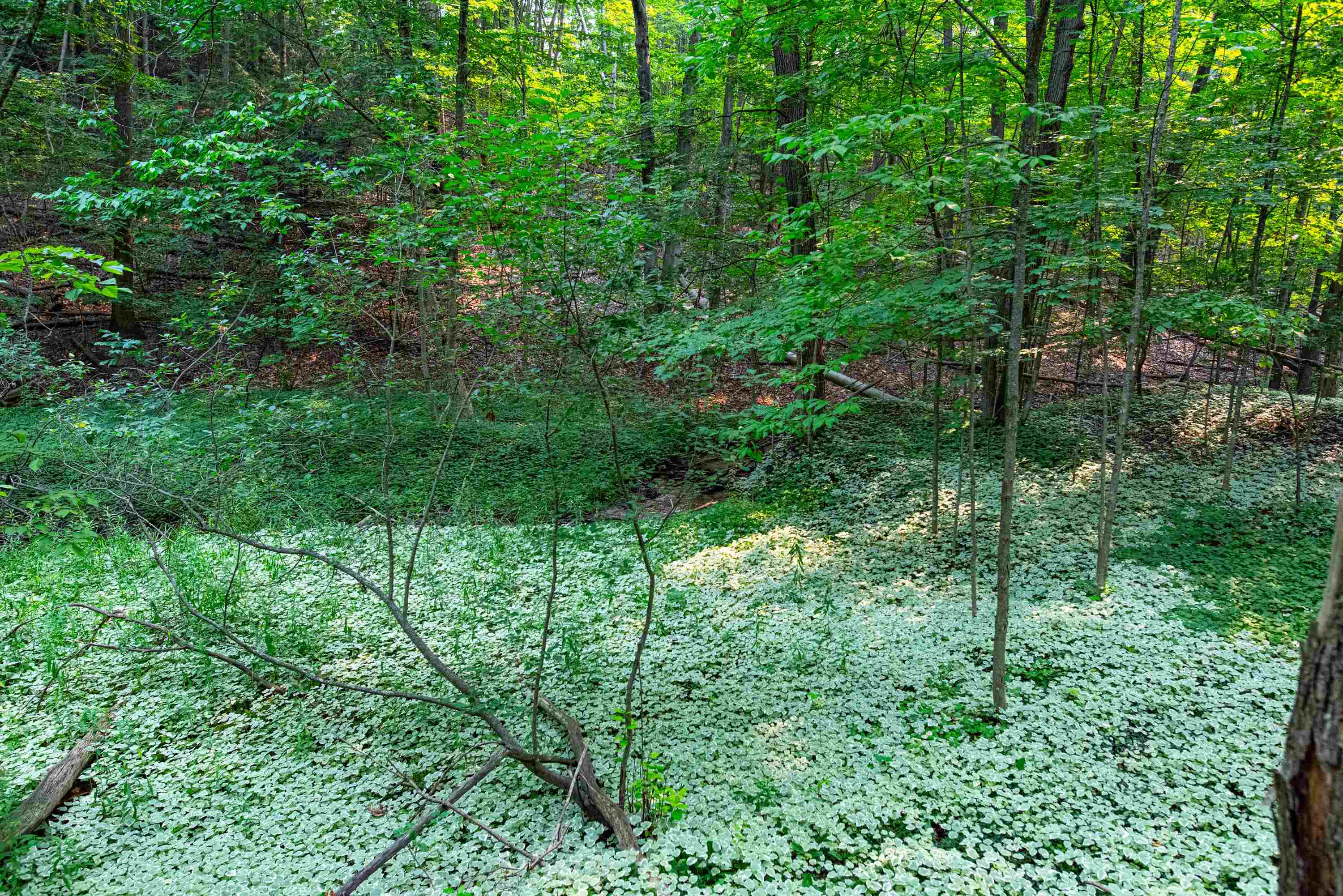 0 East Grandview Road Traverse City, MI 49684 - Photo 12 of 24