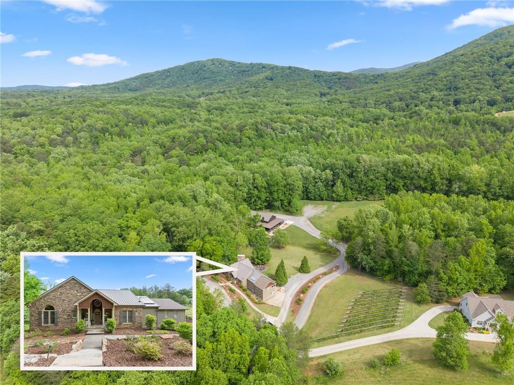 253 Happy Trails Way Jasper, GA 30143 - Photo 1 of 97