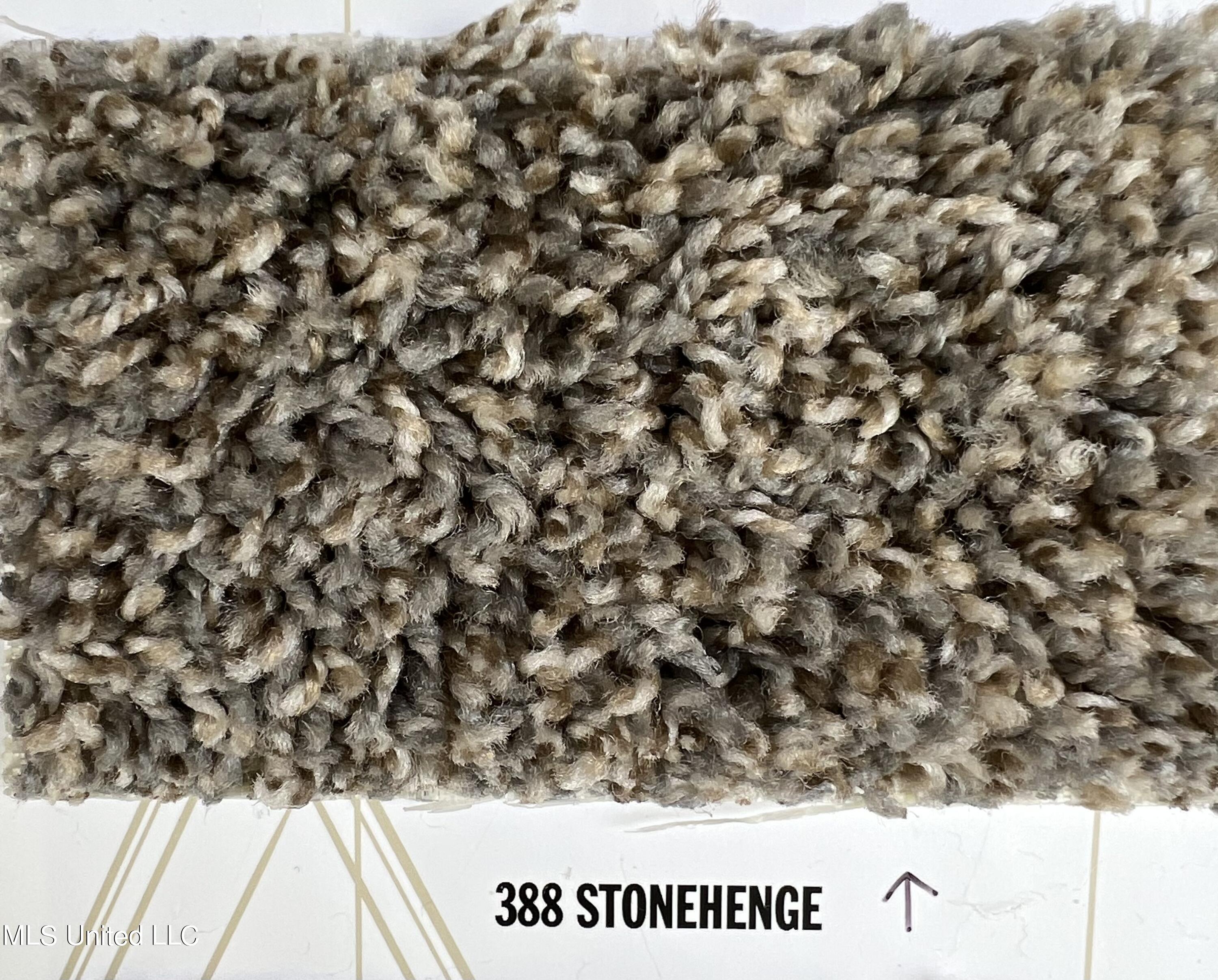 15695 Rachael Drive Gulfport, MS 39503 - Photo 6 of 30 CARPET COLOR