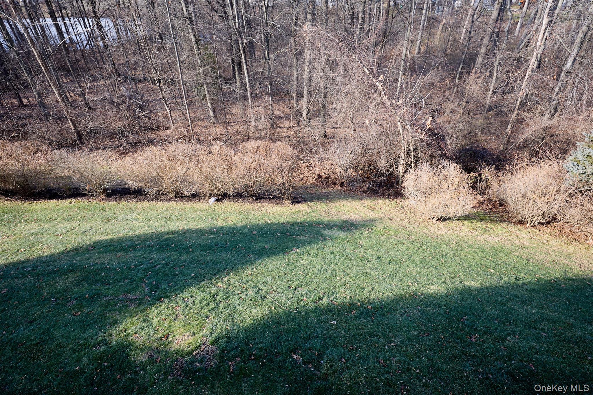 40 Evan Court Fishkill, NY 12508 - Photo 39 of 49 a view of yard with green space
