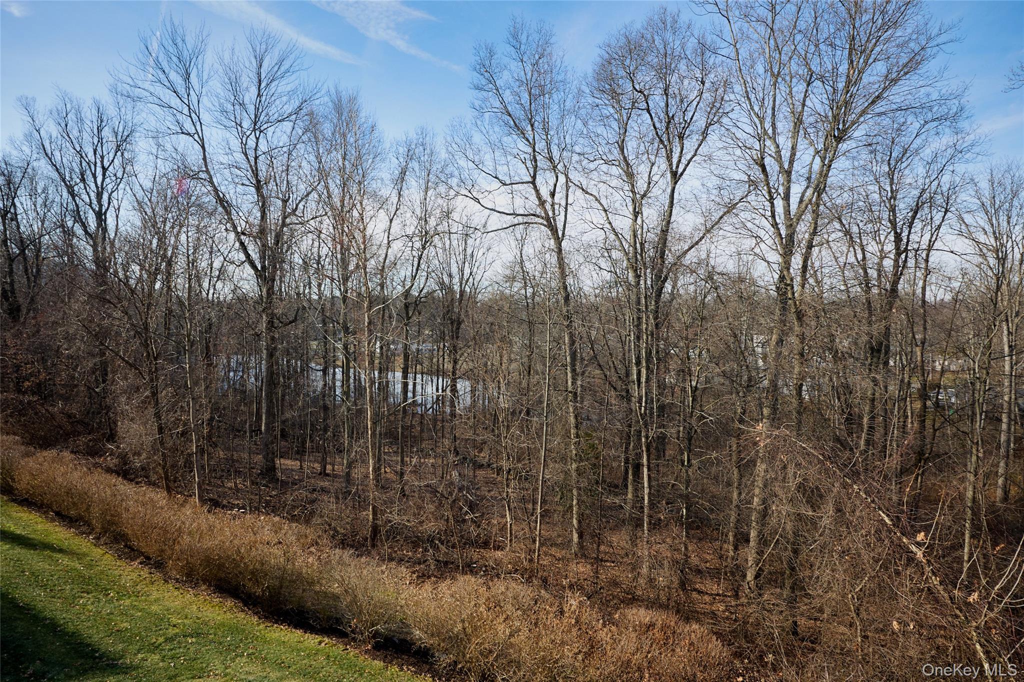 40 Evan Court Fishkill, NY 12508 - Photo 40 of 49 a view of a yard