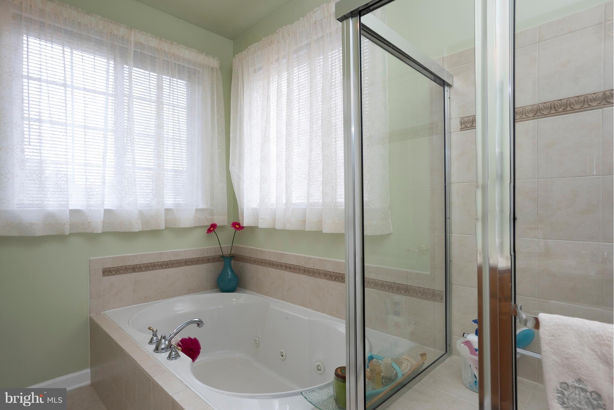 602 Crawfords Ridge Road Odenton, MD 21113 - Photo 20 of 30 Bath (Master)