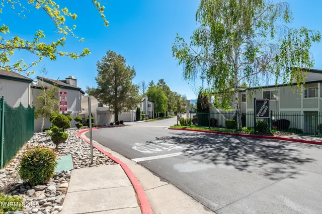 a view of a backyard with a tree