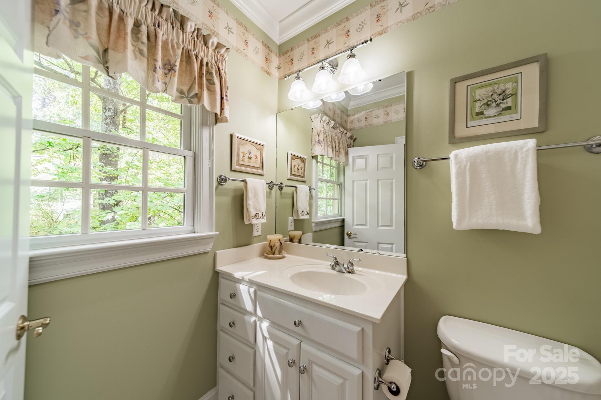 4646 Eagle Pointe Court Denver, NC 28037 - Photo 29 of 47 a bathroom with a sink mirror vanity and toilet