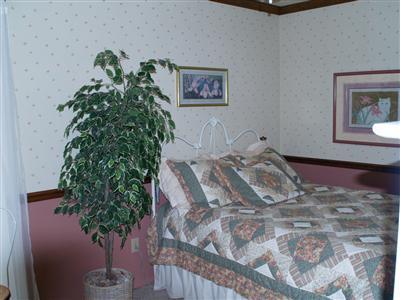 66855 Conrad Road Edwardsburg, MI 49112 - Photo 13 of 21 Additional Photo