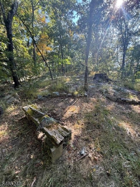 0 Hewitt Rd-next To 27 Hewitt, NJ 07421 - Photo 4 of 5 Gallery Image 4