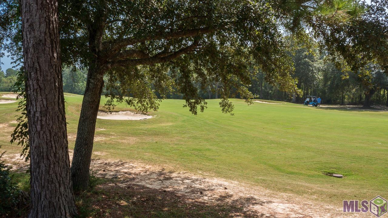 23338 Fairway Gardens Springfield, LA 70462 - Photo 24 of 40
