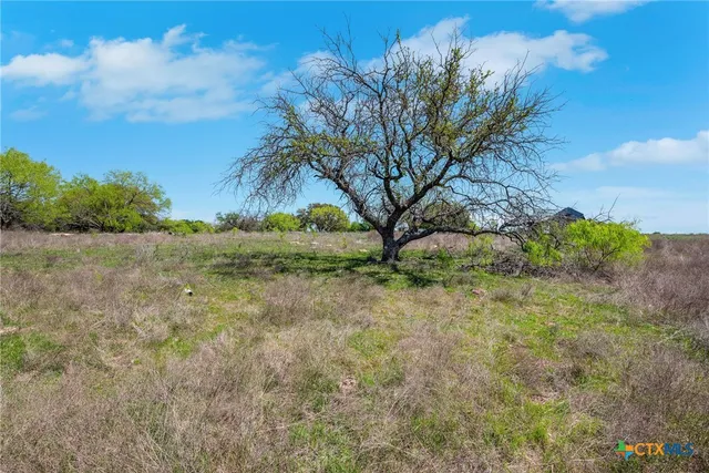 a view of a plants with yard
