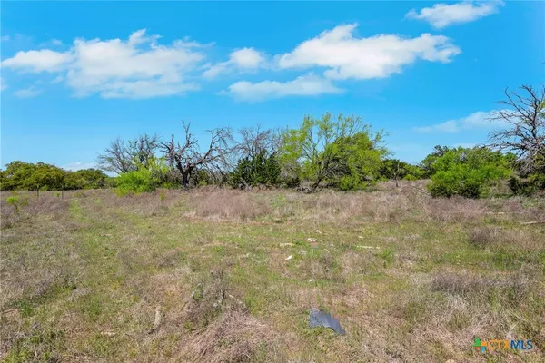 a view of a plants with yard