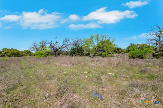 a view of a field with trees in the background