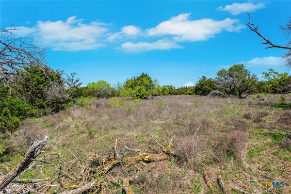 a view of a field with trees in the background