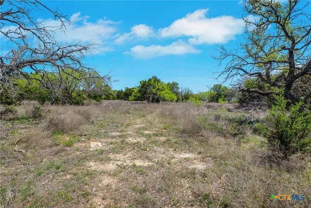 a view of a big yard with an trees