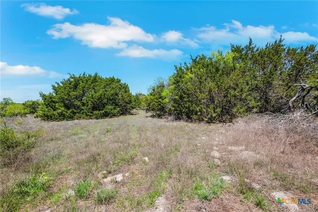 a close up view of a storage and utility