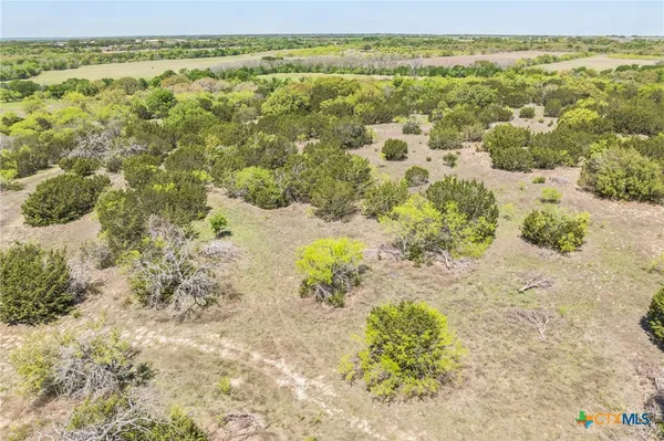 a view of a yard with an outdoor space