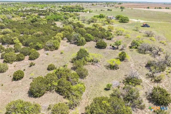 a view of a yard with trees