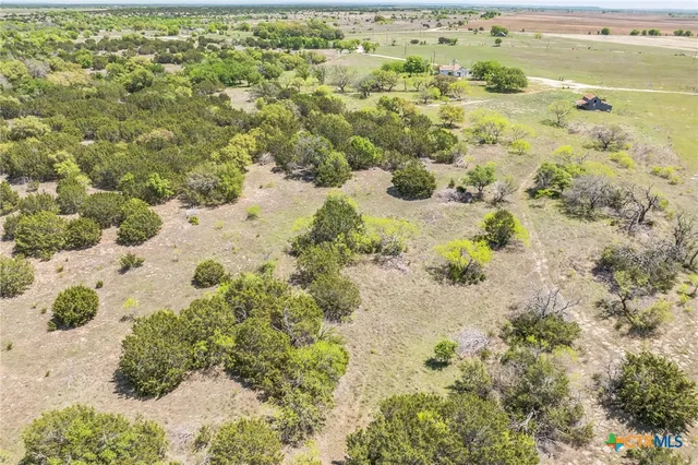 a view of a yard with trees