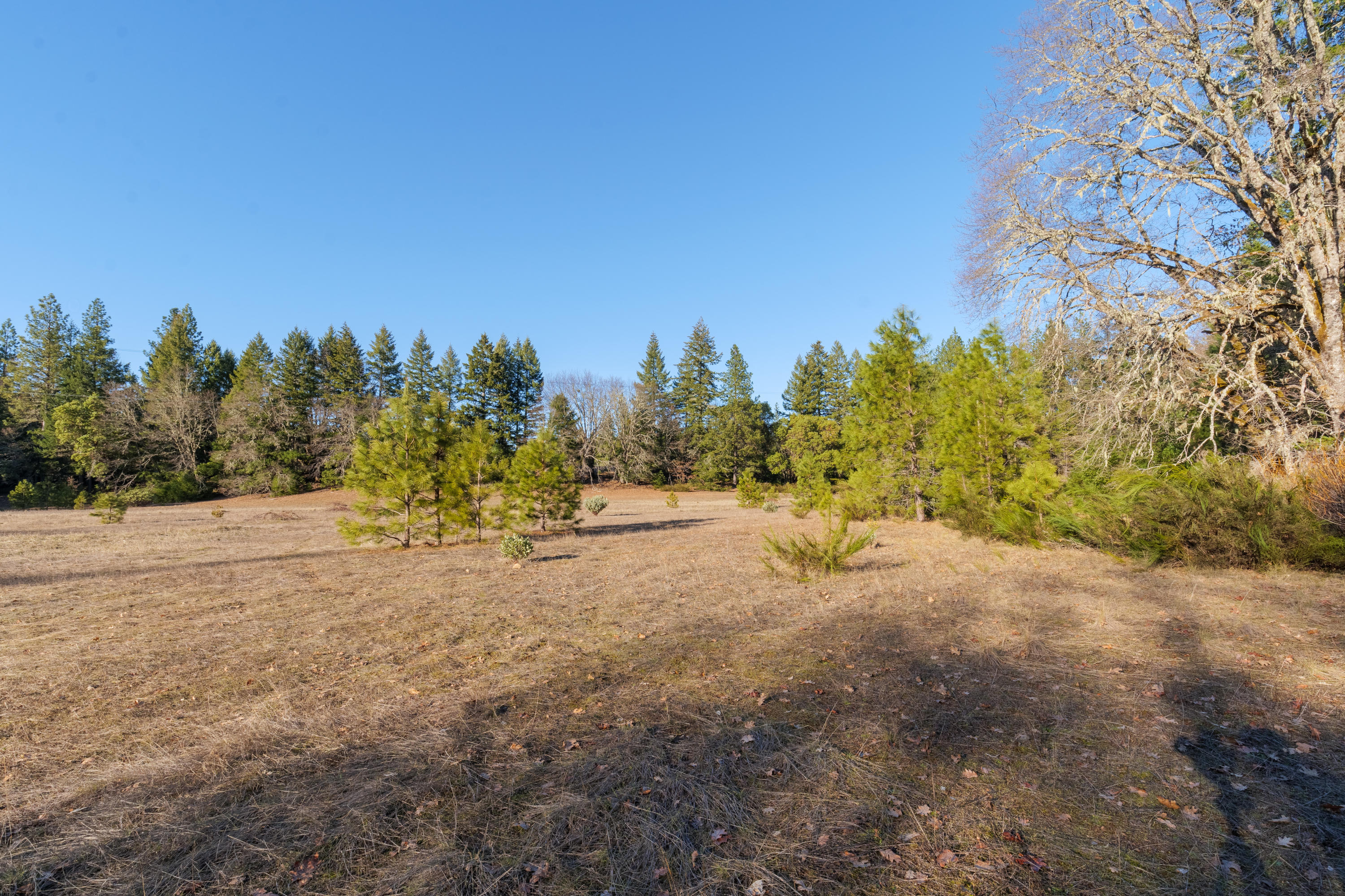 1430 Draper Valley Road Selma, OR 97538 - Photo 12 of 32 1430 Draper Valley Rd-014