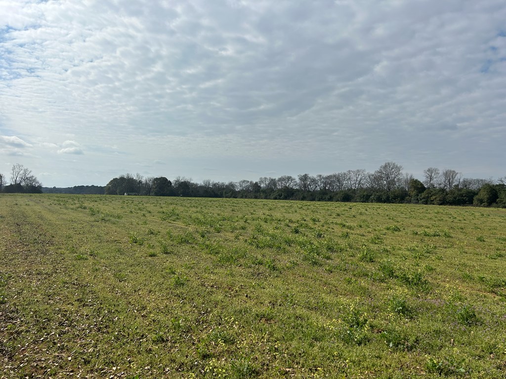 17.99-ac 17.99-ac Wicksburd Road Newton, AL 36352 - Photo 16 of 22