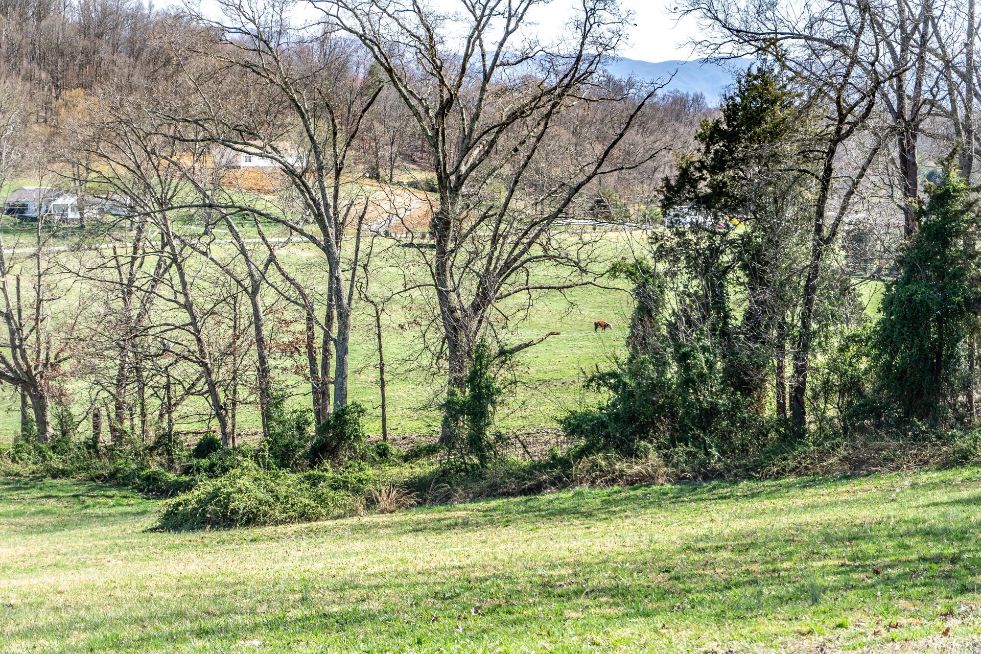 7806 Old Stage Road Chuckey, TN 37641 - Photo 52 of 78 7806OldStageC_061