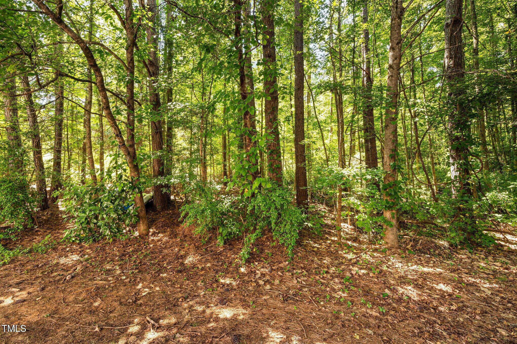 214 Towne Ridge Lane Chapel Hill, NC 27516 - Photo 31 of 32 032_file_271