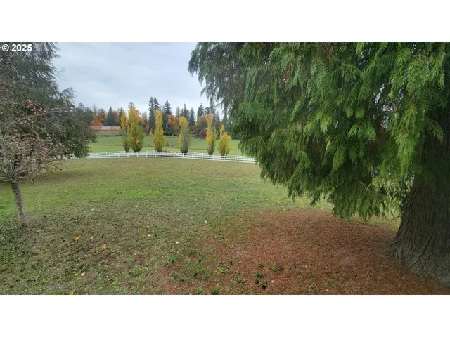a open area with trees in background