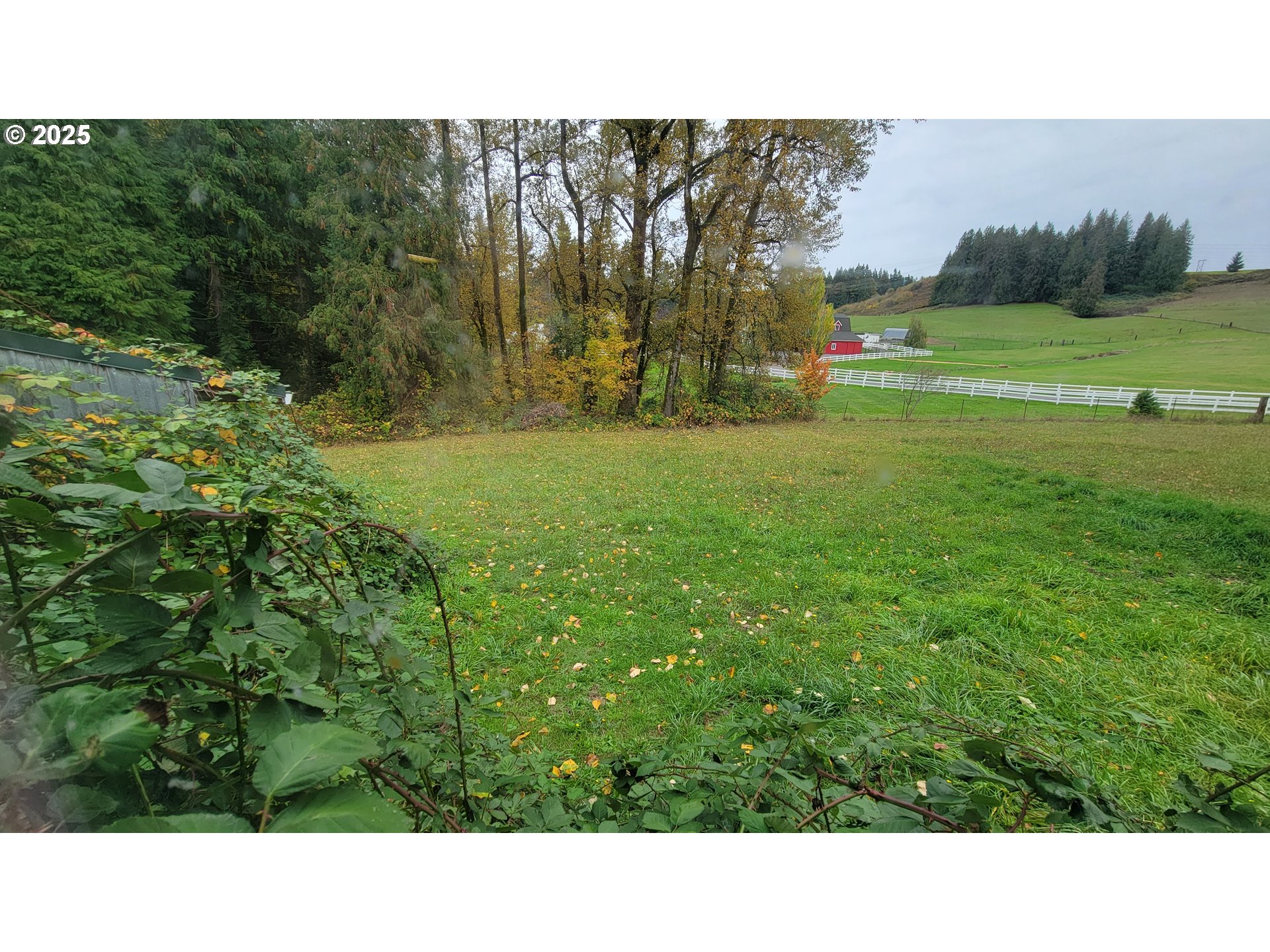 15996 South Thayer Road Oregon City, OR 97045 - Photo 4 of 25 a open area with trees in the background