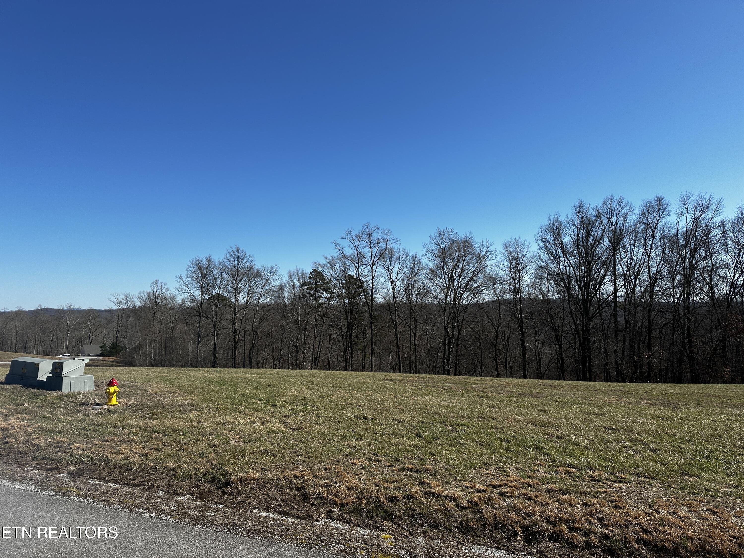 535 Prestige Ridge La Follette, TN 37766 - Photo 27 of 31 IMG_2096