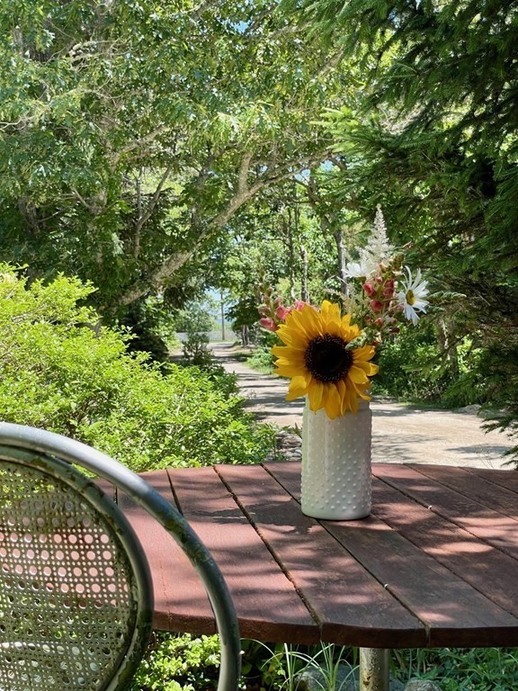 68 Tower Lane Edgartown, MA 02539 - Photo 37 of 39