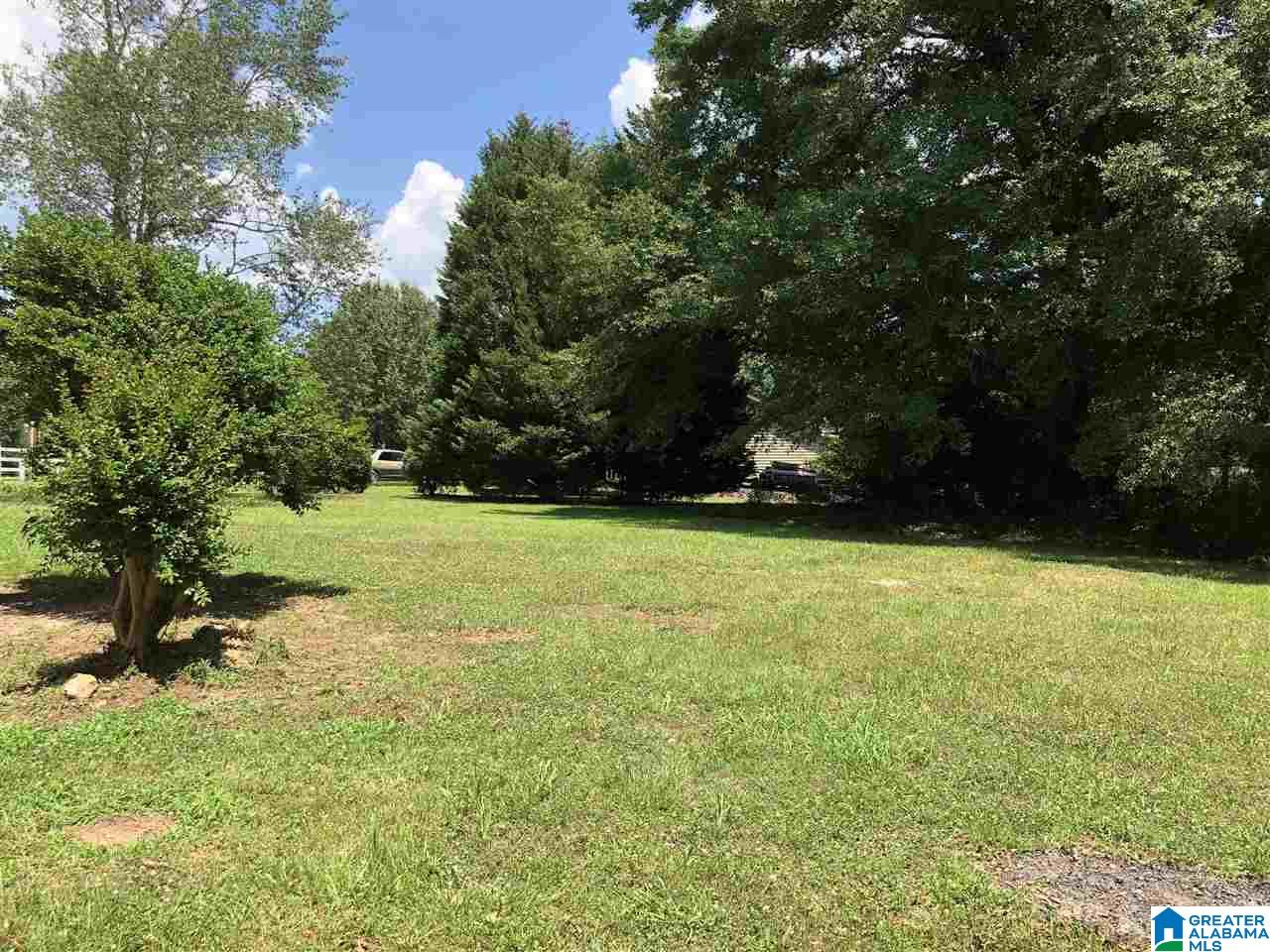 113 Lake View Circle Riverside, AL 35135 - Photo 48 of 48