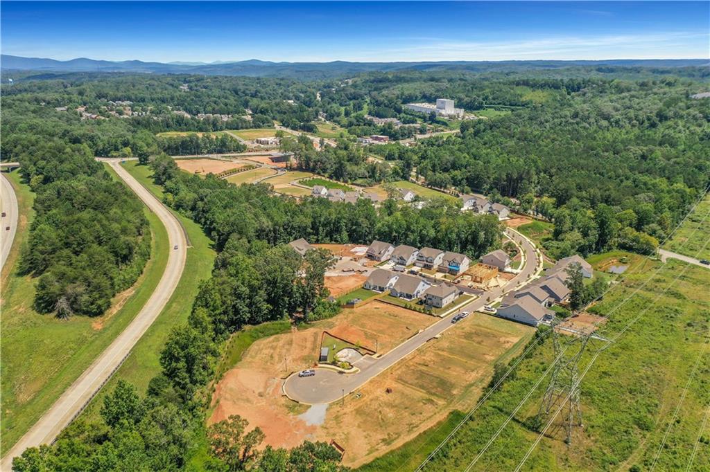 138 Marble Tree Way Ball Ground, GA 30107 - Photo 56 of 65 an aerial view of residential houses with outdoor space and trees