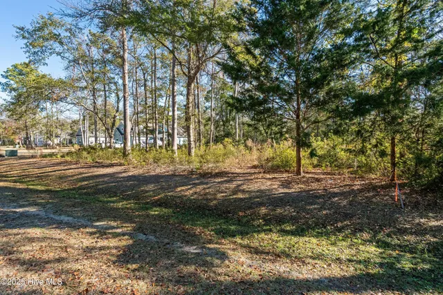 $100,225 | 1872 Healing Water Lane Southwest, Supply, NC 28462