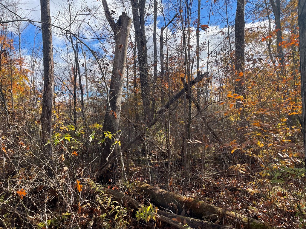 0 Airport Road Emlenton, PA 16373 - Photo 11 of 15