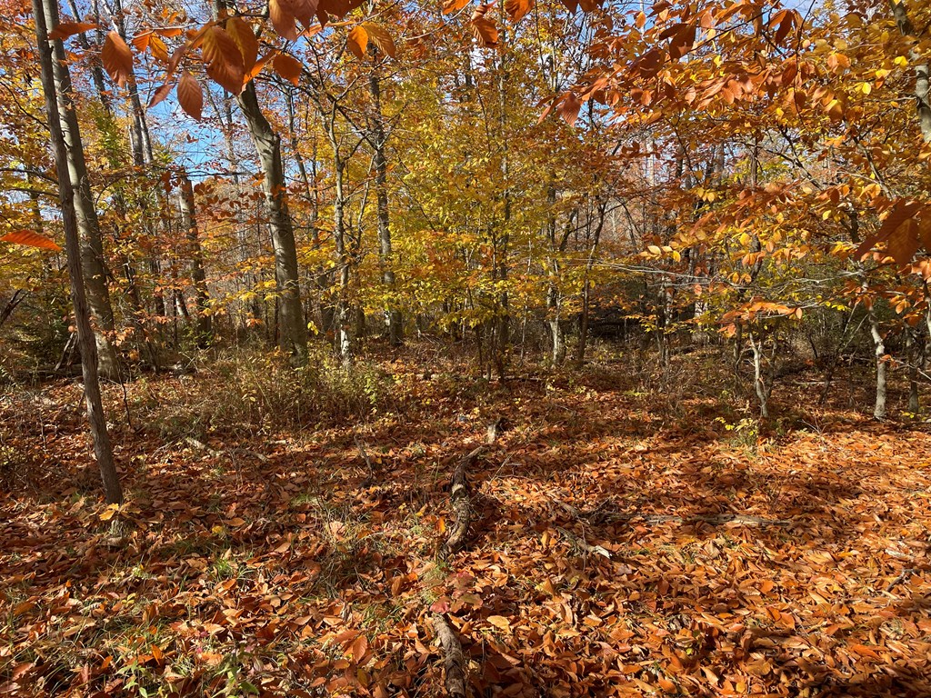 0 Airport Road Emlenton, PA 16373 - Photo 12 of 15