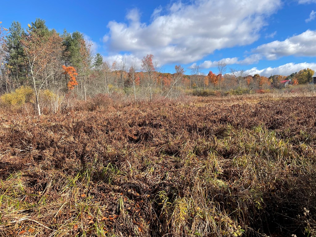 0 Airport Road Emlenton, PA 16373 - Photo 13 of 15