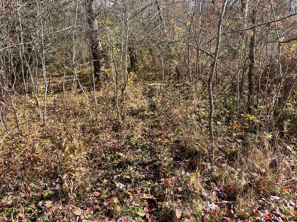 0 Airport Road Emlenton, PA 16373 - Photo 14 of 15