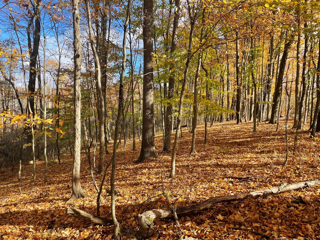 0 Airport Road Emlenton, PA 16373 - Photo 7 of 15