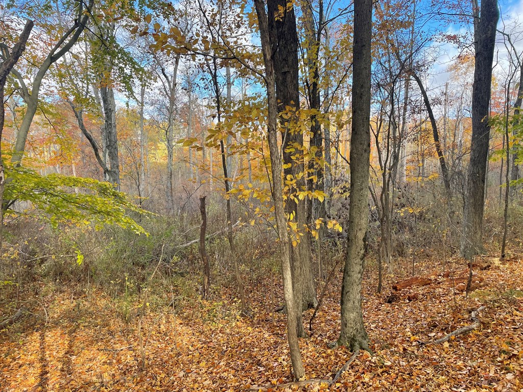 0 Airport Road Emlenton, PA 16373 - Photo 8 of 15