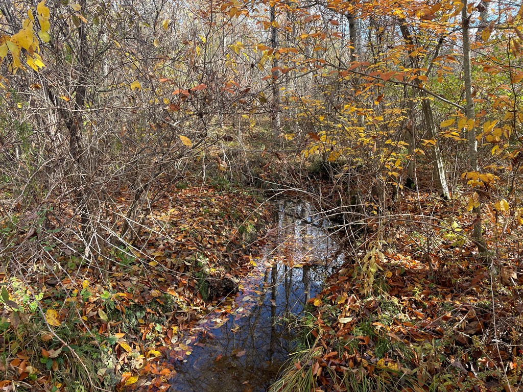 0 Airport Road Emlenton, PA 16373 - Photo 9 of 15