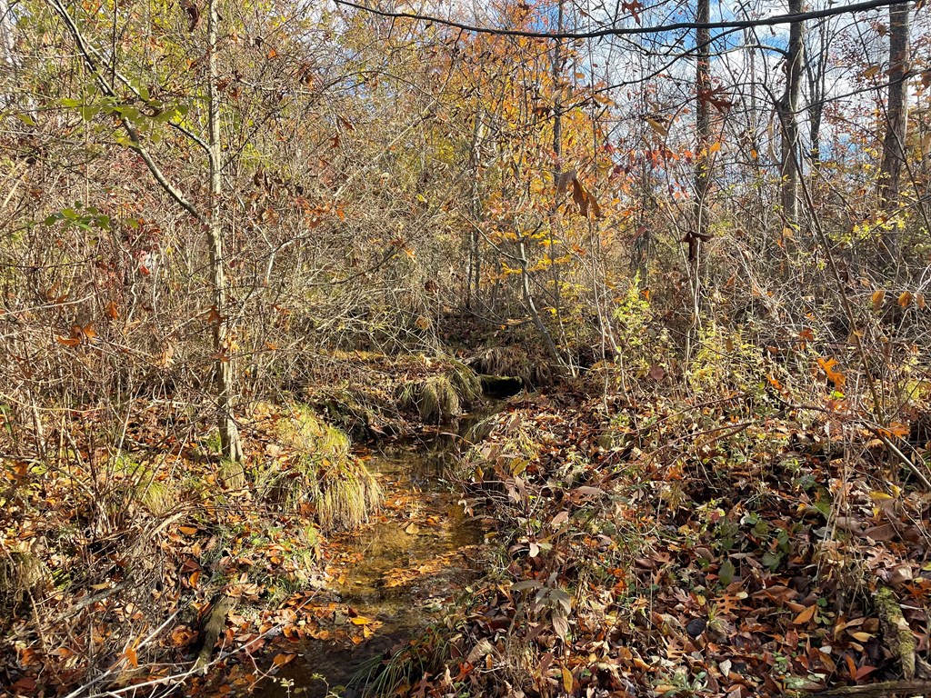 0 Airport Road Emlenton, PA 16373 - Photo 10 of 15