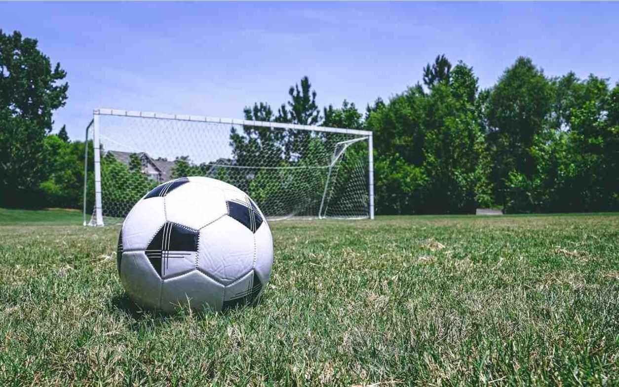 7056 Rex Road Holly Springs, NC 27540 - Photo 26 of 28 Avocet has it's own soccer field and it's great! Community soccer field