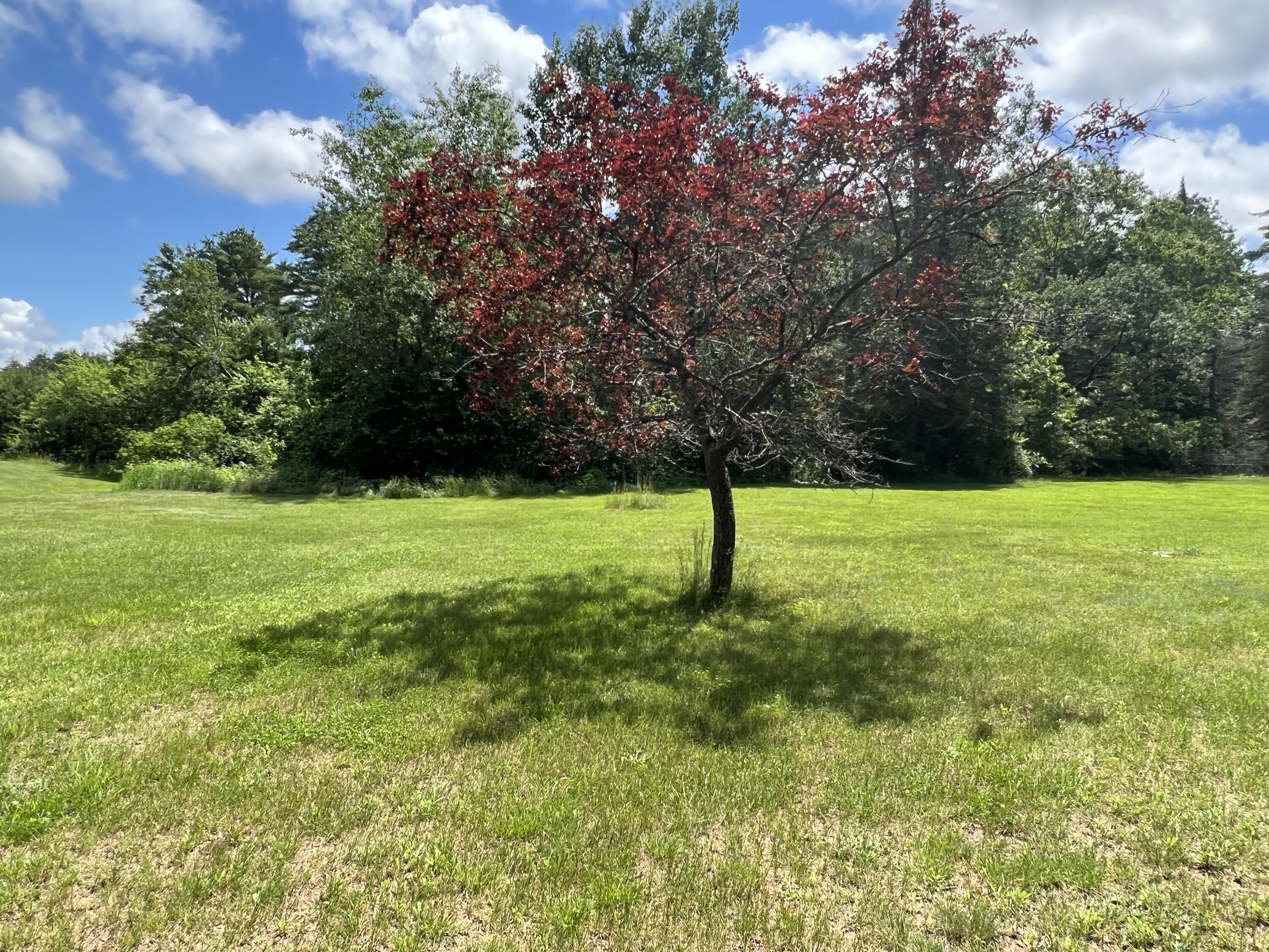 119 Mechanic Falls Road Oxford, ME 04270 - Photo 26 of 78 IMG_9575