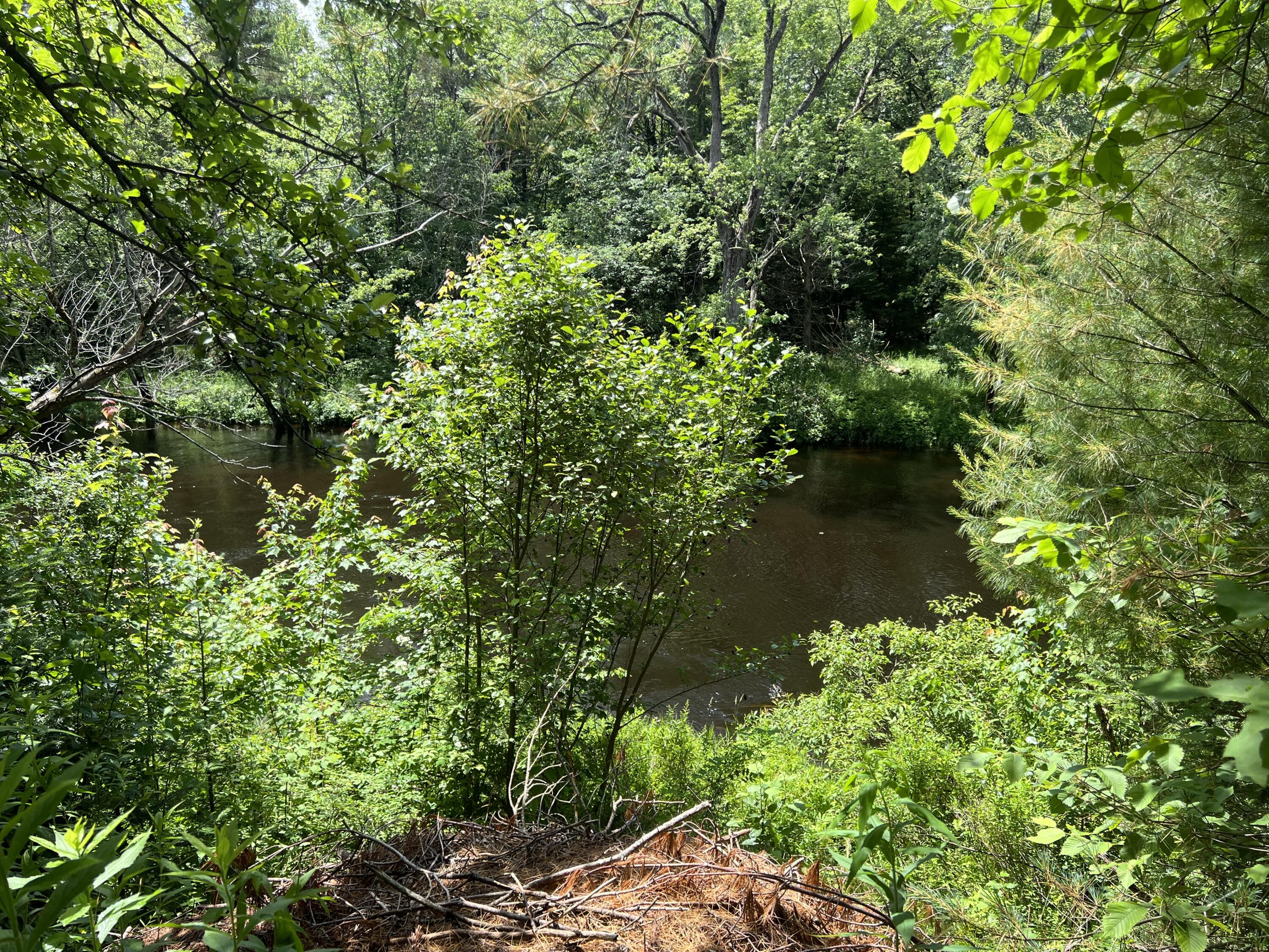 119 Mechanic Falls Road Oxford, ME 04270 - Photo 78 of 78 IMG_9578