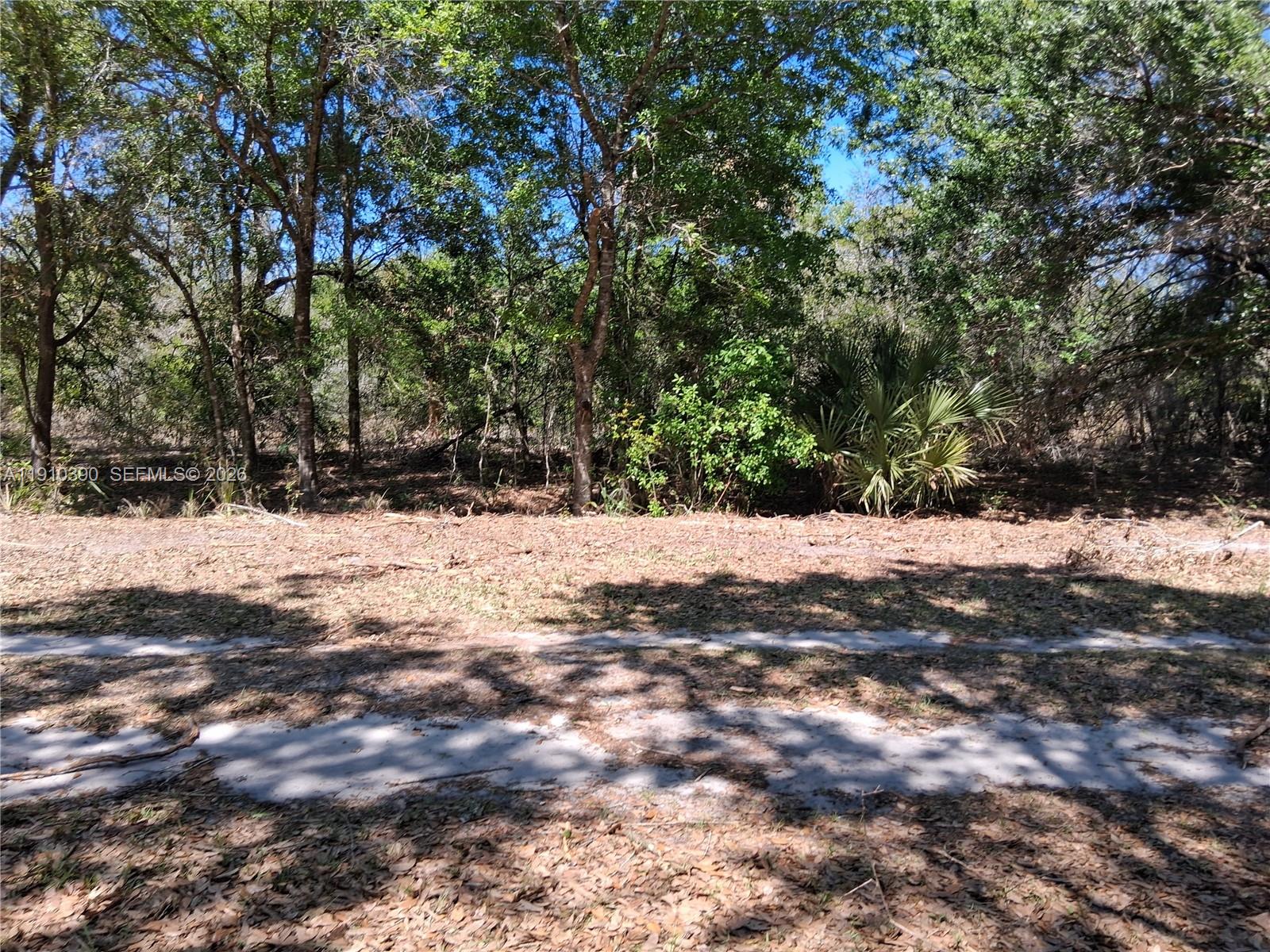 a view of covered with snow