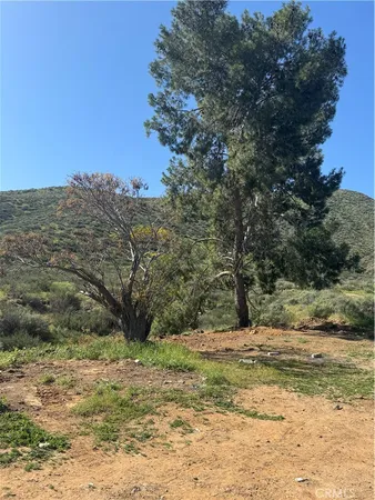 a view of a yard with an trees